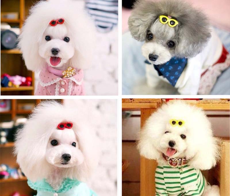 Lovely Sunglasses Style Pet Hair Pin