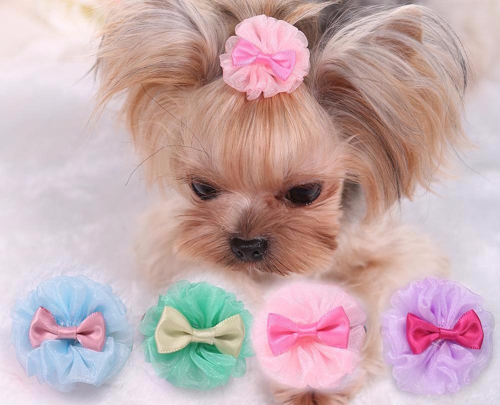 Sweet Bowtie Lace Pet Hair Clip