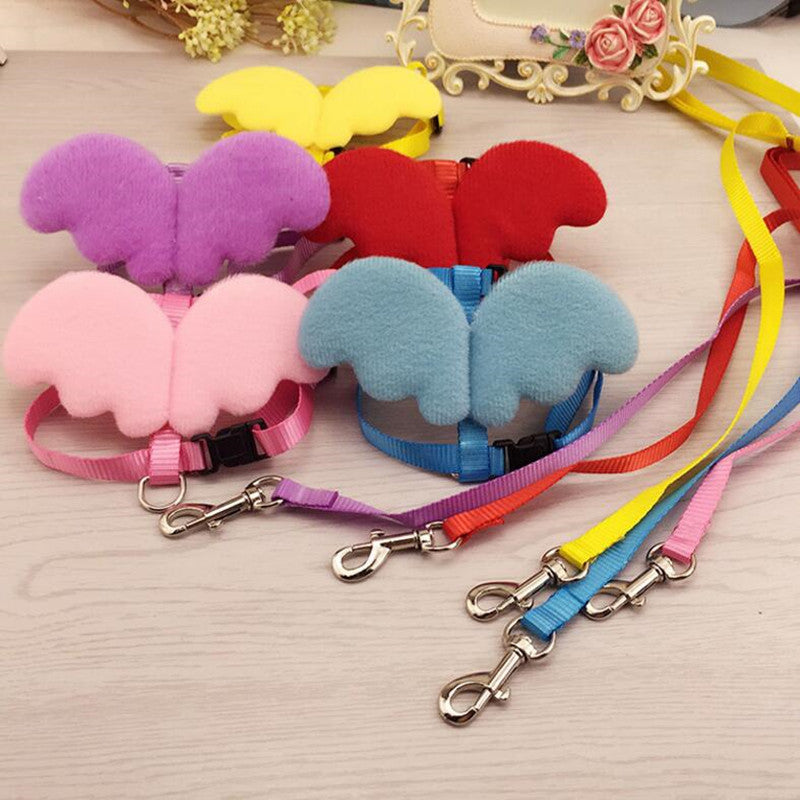 Puppy Cute Angel Leashes