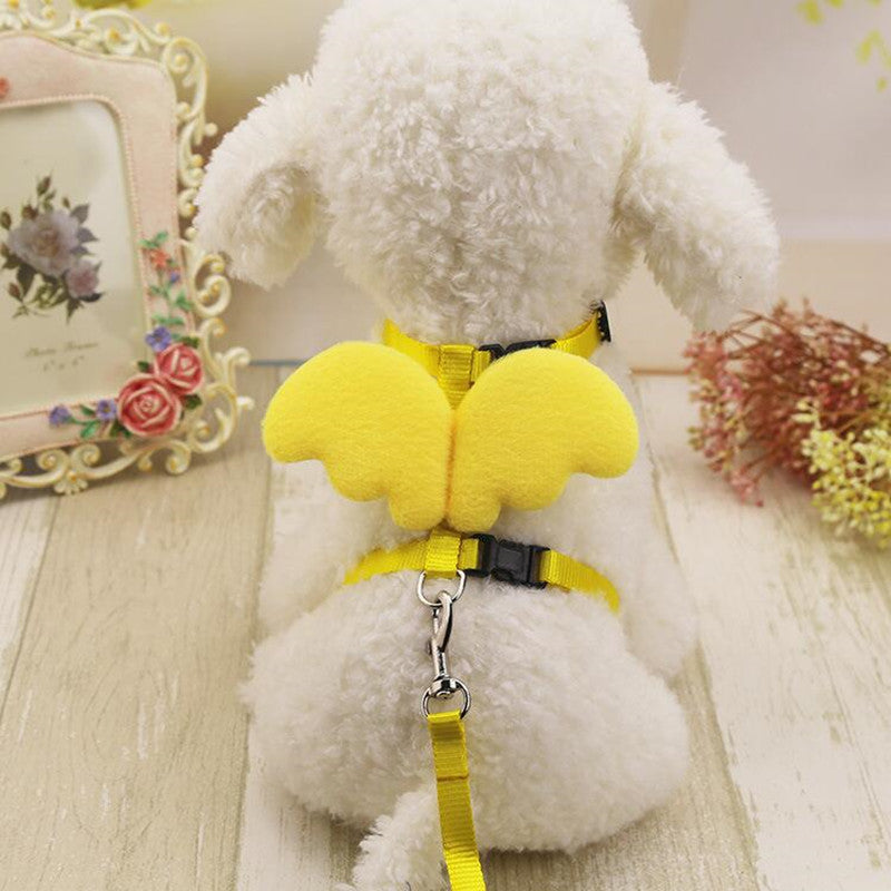 Puppy Cute Angel Leashes