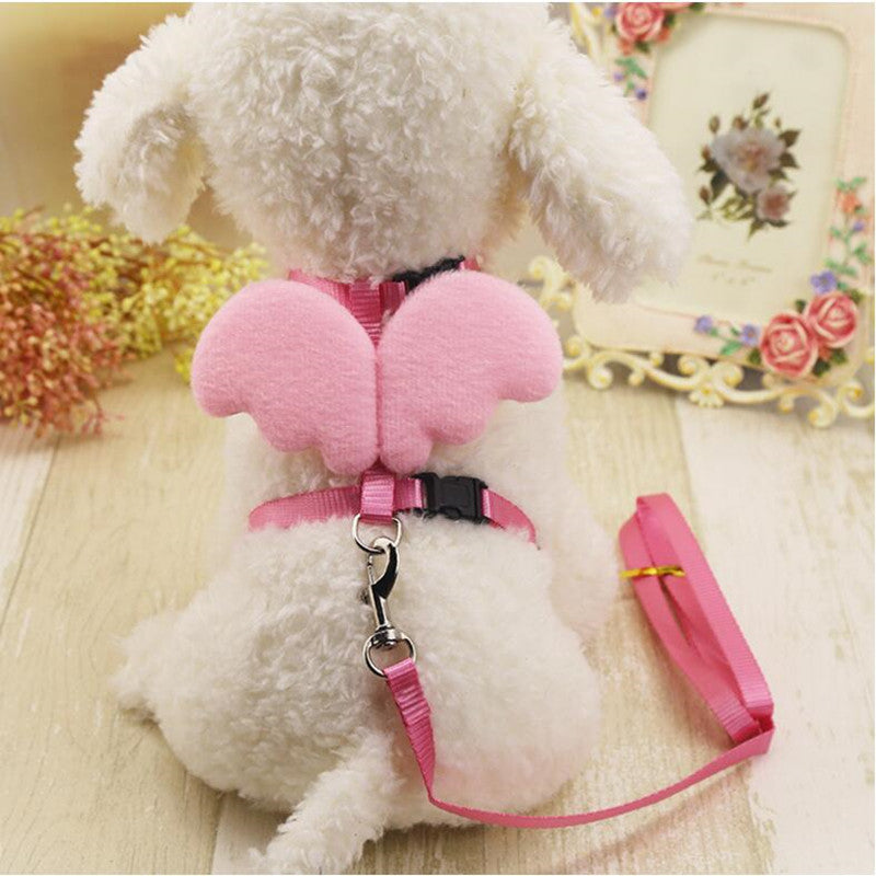 Puppy Cute Angel Leashes