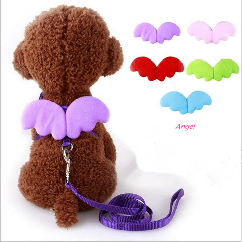 Puppy Cute Angel Leashes