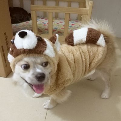 Cute Raccoon Dog Cosplay Clothes