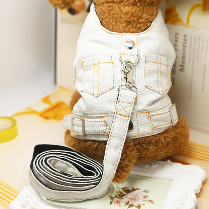 Fashionable Pet Vest Leash Set