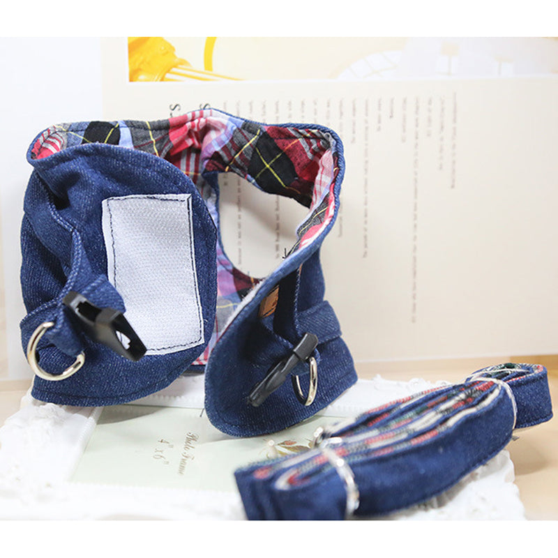 Fashionable Pet Vest Leash Set