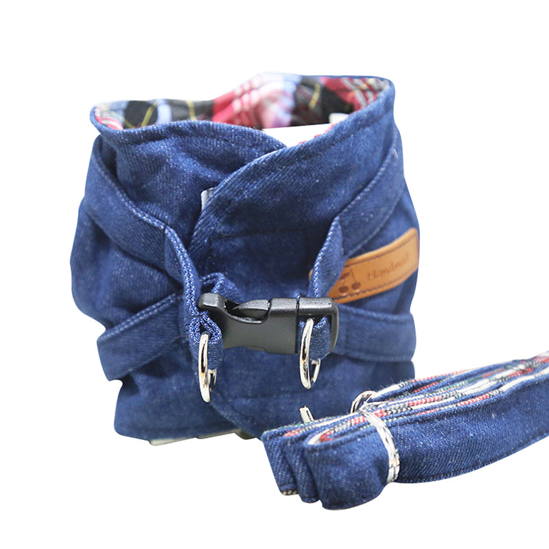 Fashionable Pet Vest Leash Set
