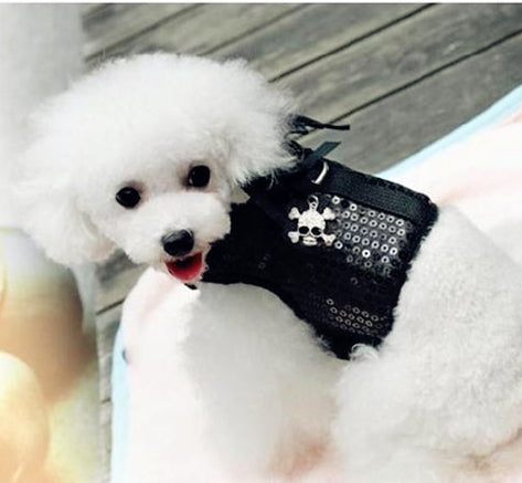 Sparkling Little Wings Vest Leash Set