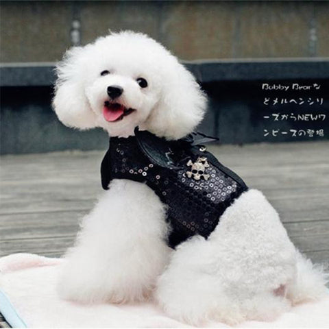 Sparkling Little Wings Vest Leash Set