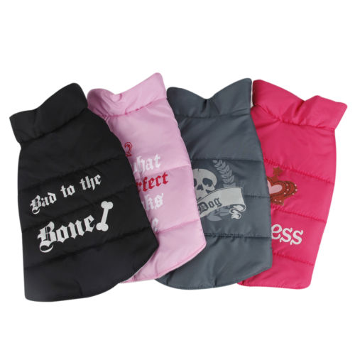Cool Printed Pet Coat