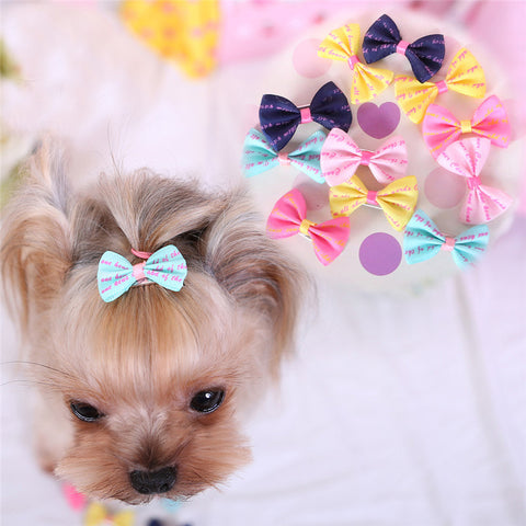 Adorable Mini Bowtie Pet Hair Clips