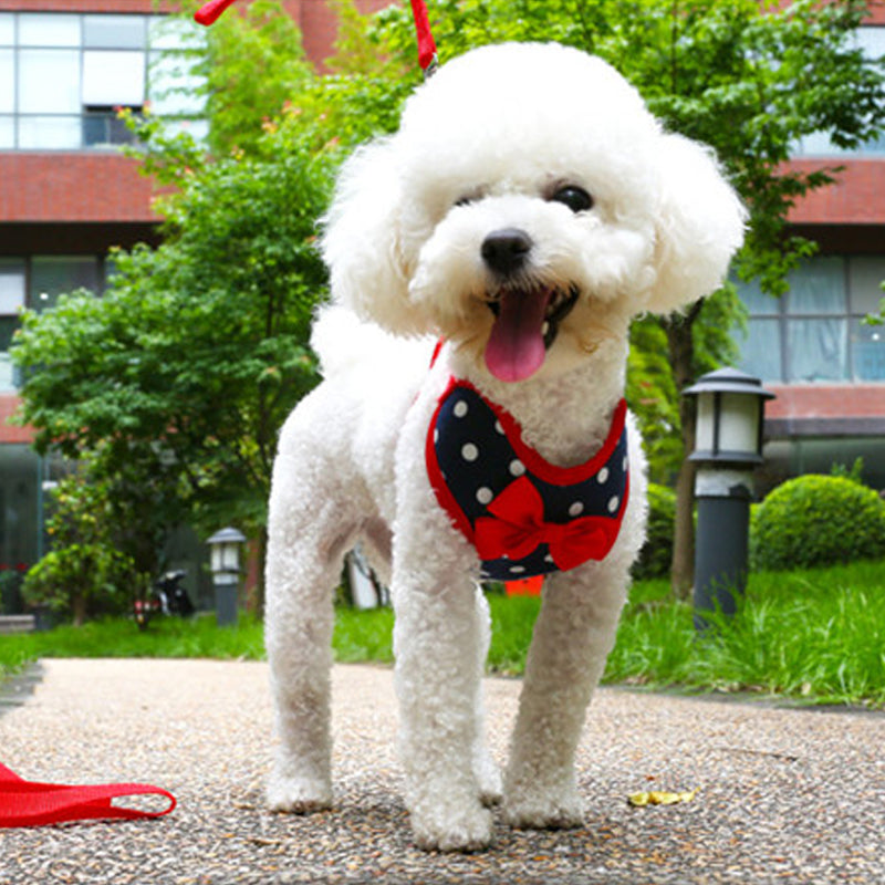 Pet Bowknot/Hero Harness Set