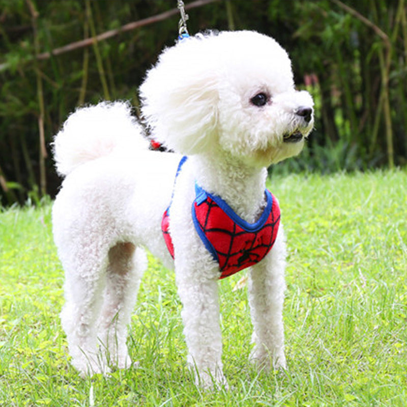 Pet Bowknot/Hero Harness Set