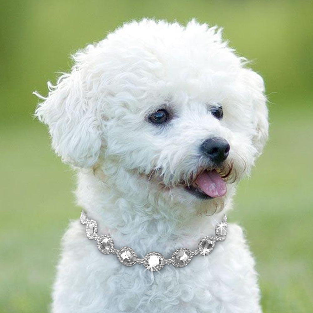 Rhinestones & Pear Pet Necklace