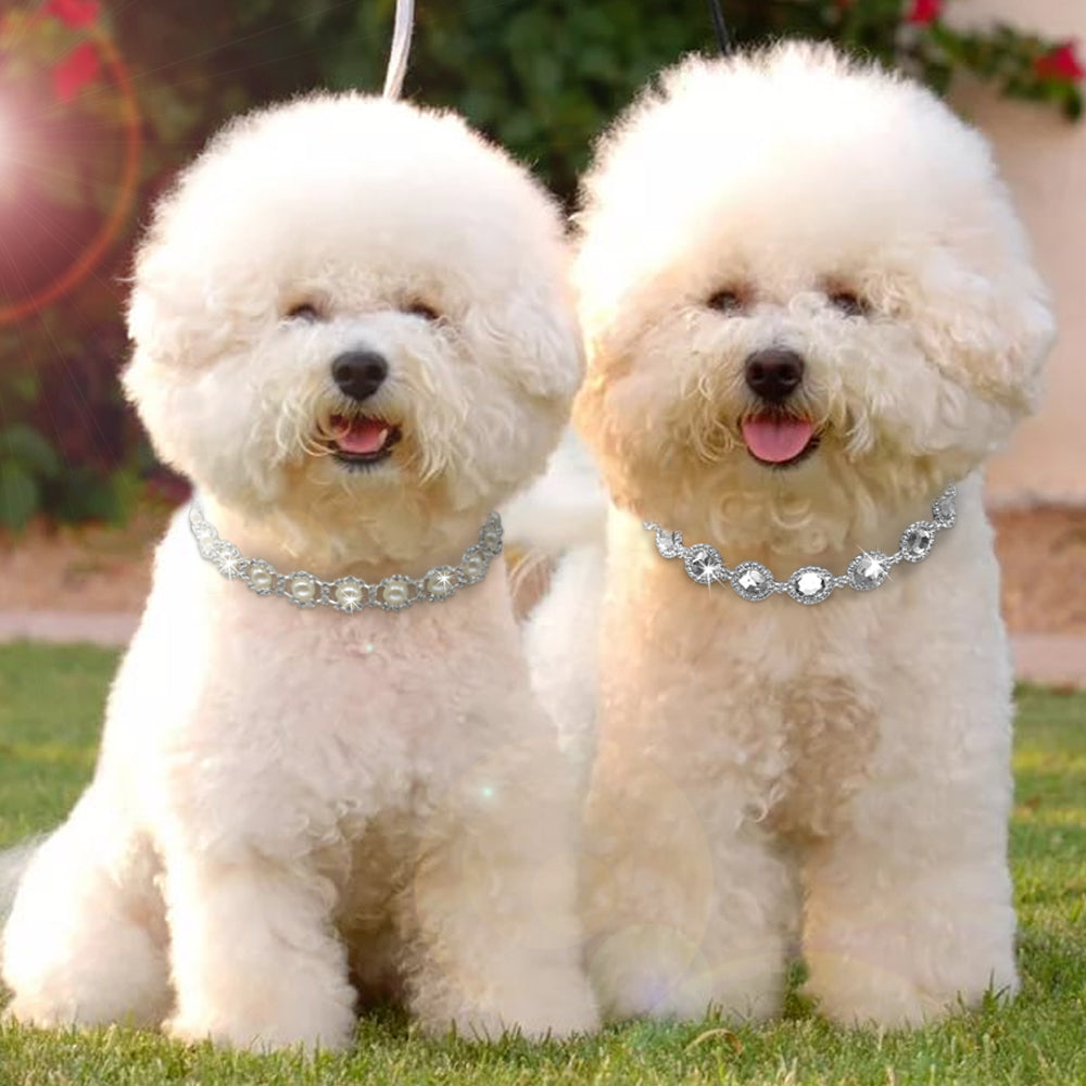 Rhinestones & Pear Pet Necklace