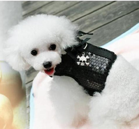 Sparkling Little Wings Vest Leash Set
