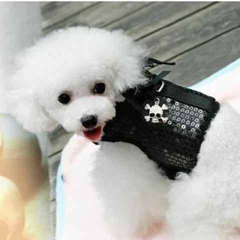 Sparkling Little Wings Vest Leash Set