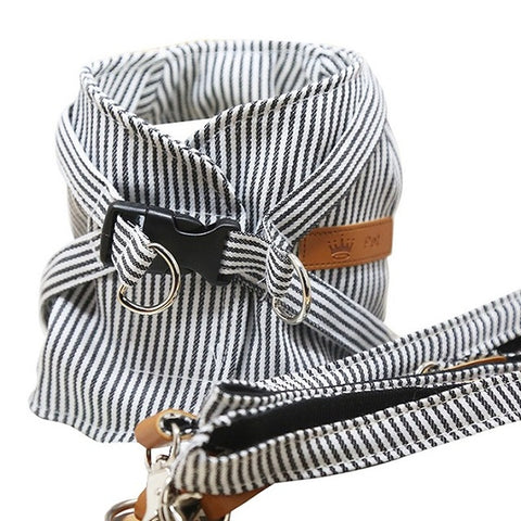Fashionable Pet Vest Leash Set