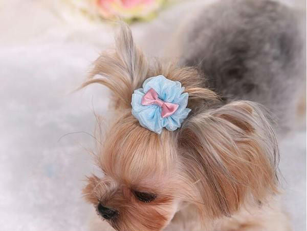 Sweet Bowtie Lace Pet Hair Clip