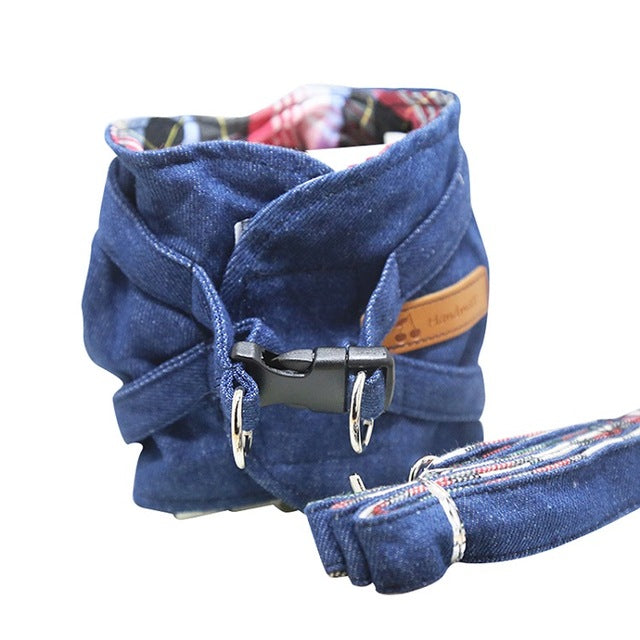 Fashionable Pet Vest Leash Set