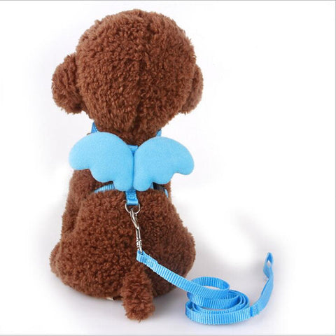 Puppy Cute Angel Leashes