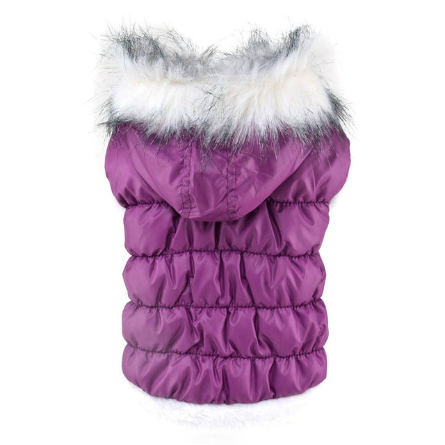 Cute Candy Color Pet Winter Hoodie