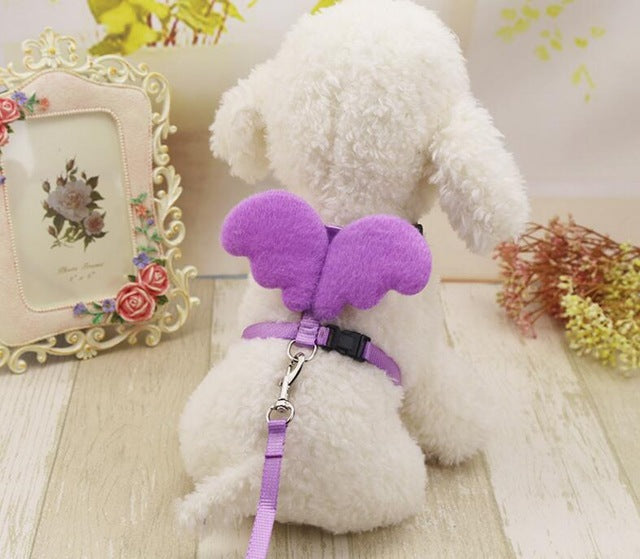 Puppy Cute Angel Leashes