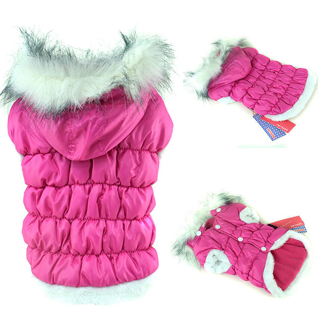 Cute Candy Color Pet Winter Hoodie