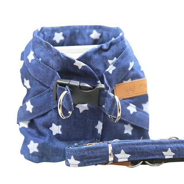 Fashionable Pet Vest Leash Set