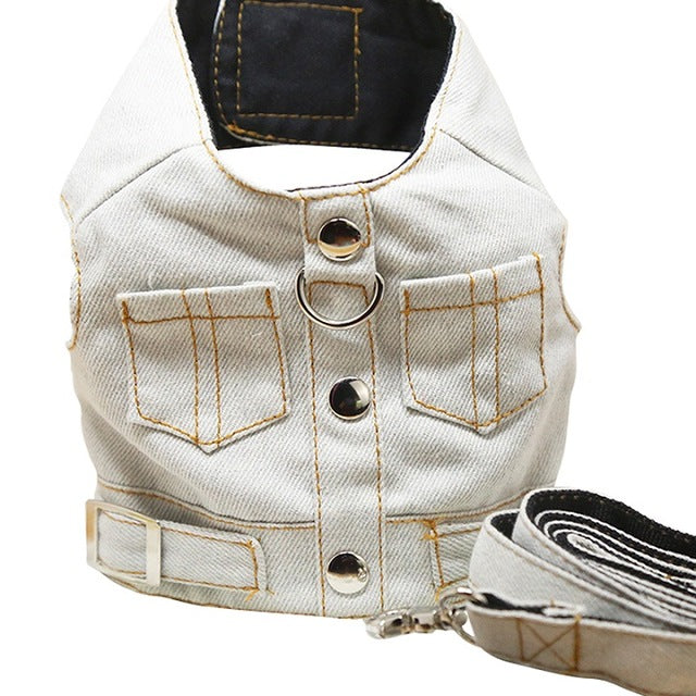 Fashionable Pet Vest Leash Set