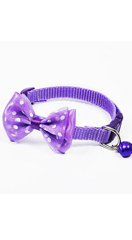 Pet Accessories
